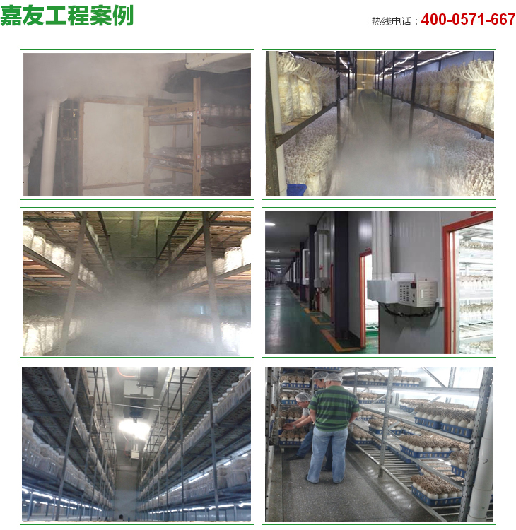 食用菌加濕器應用實例