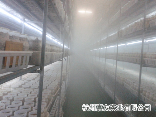 食用菌加濕器