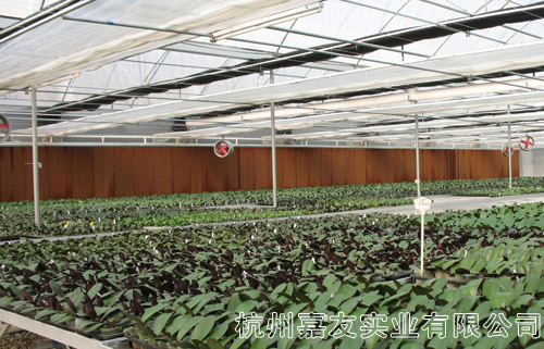 溫室濕簾降溫係統